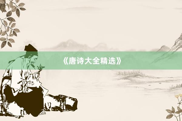 《唐诗大全精选》